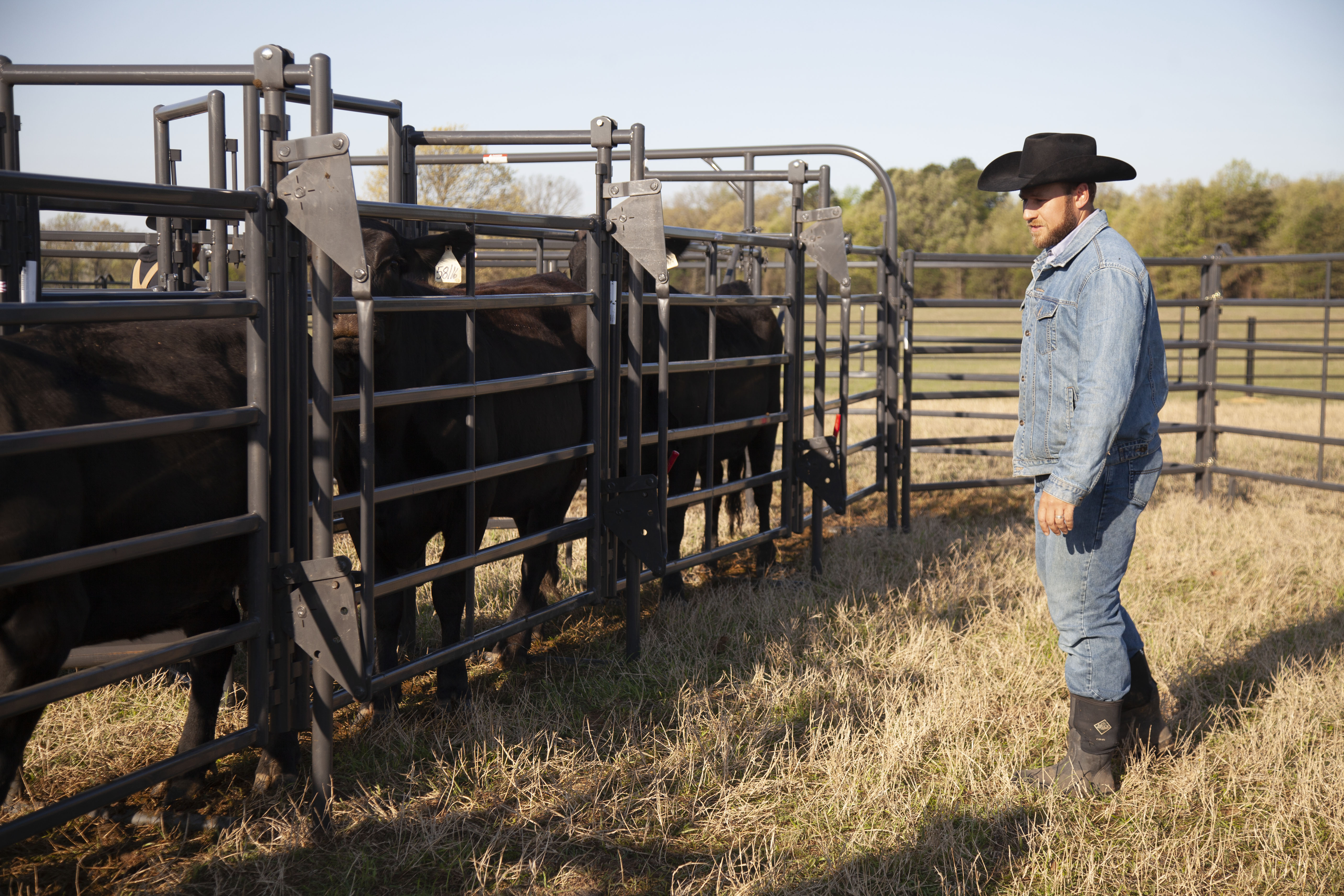 Premier System Adjustable Alley 35.jpg